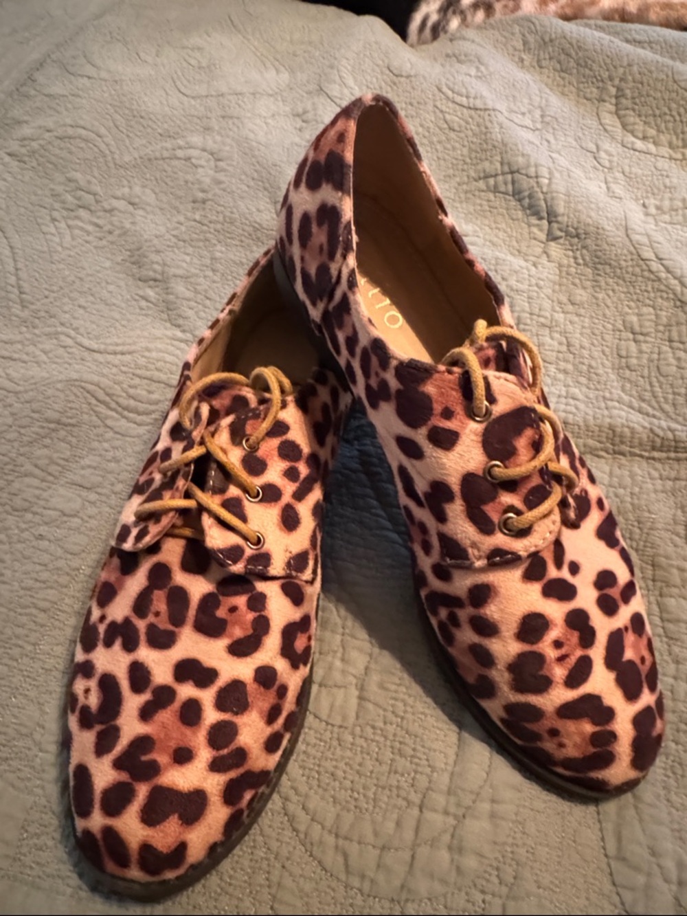 Ollio Leopard-Print Lace-Up Flats in Brown and Tan